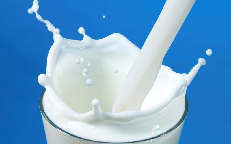 Sữa và chế phẩm từ sữa là thực phẩm được khuyên dùng