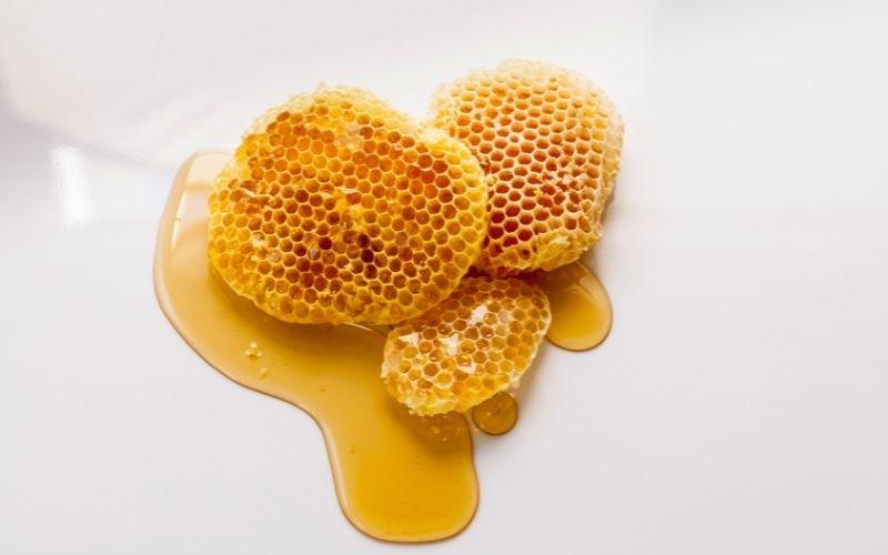 Dùng mật ong nguyên chất để trị tụt lợi