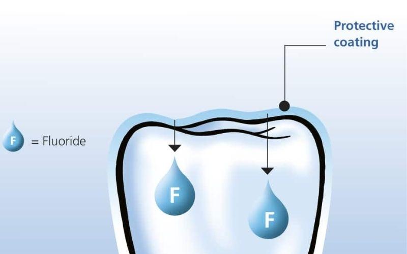 Thành phần Fluoride có trong răng