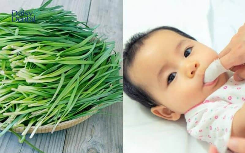 Mẹ hãy từ từ đưa tay vào rơ lưỡi cho bé nhẹ nhàng