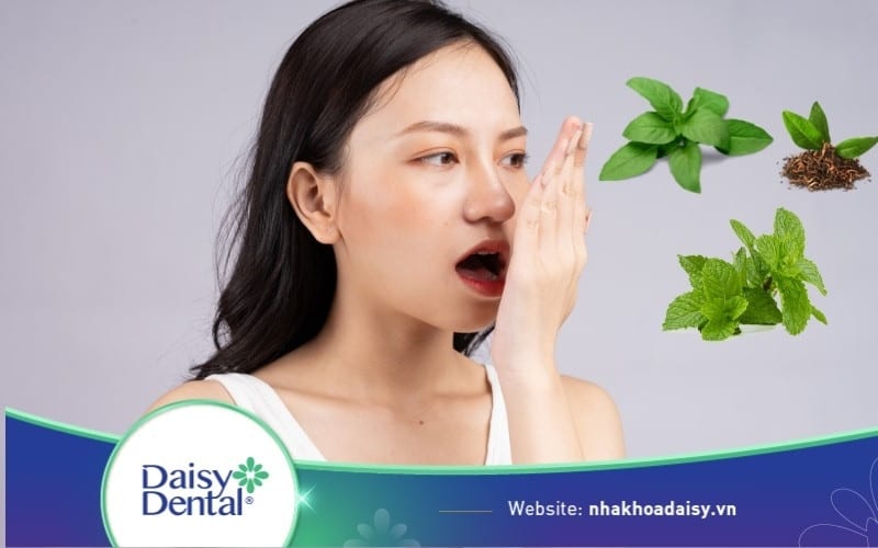 lá cây trị hôi miệng