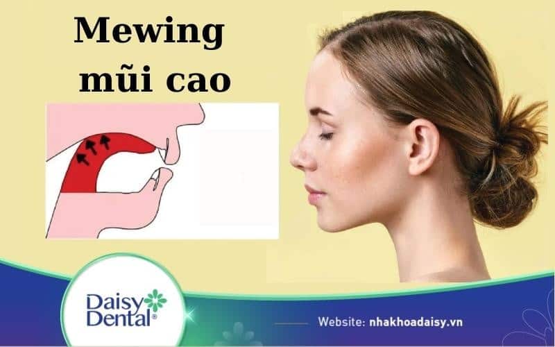 mewing mũi cao
