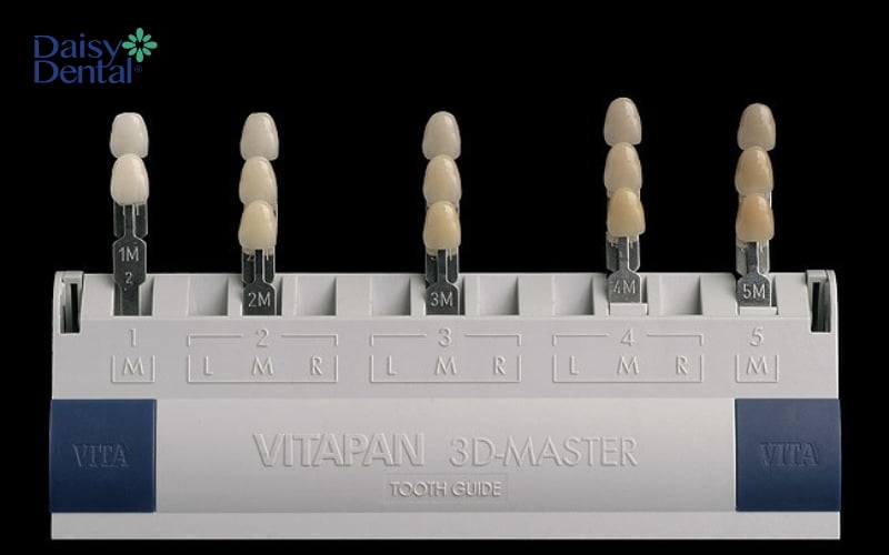 Một vài biến thể trong bảng màu VITA 3D Master