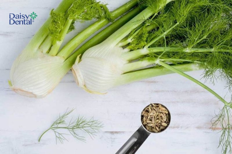 Hạt cây thì là giúp đẩy lùi vi khuẩn gây hại trong khoang miệng
