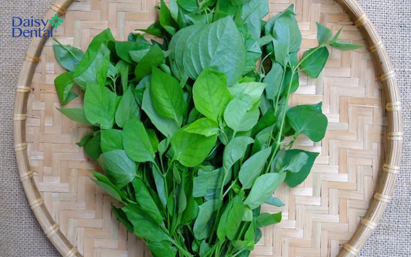 Bạn cũng có thể dùng lá rau ngót để điều trị mụn nước cho bé