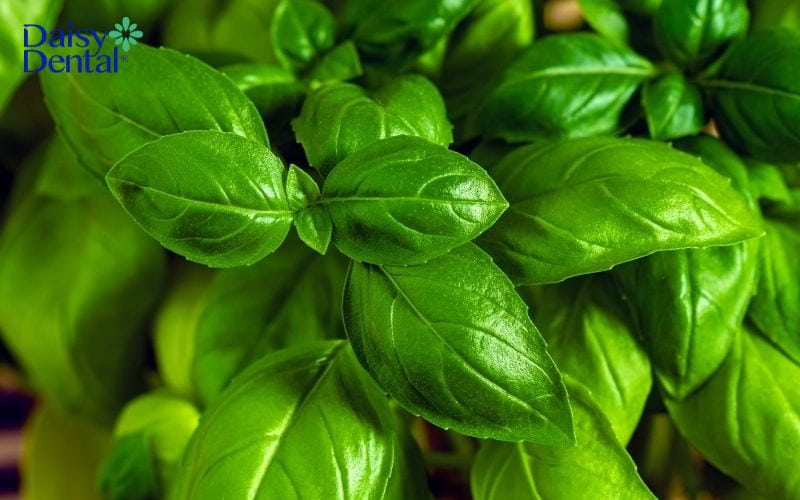 bà bầu bị nhiệt miệng