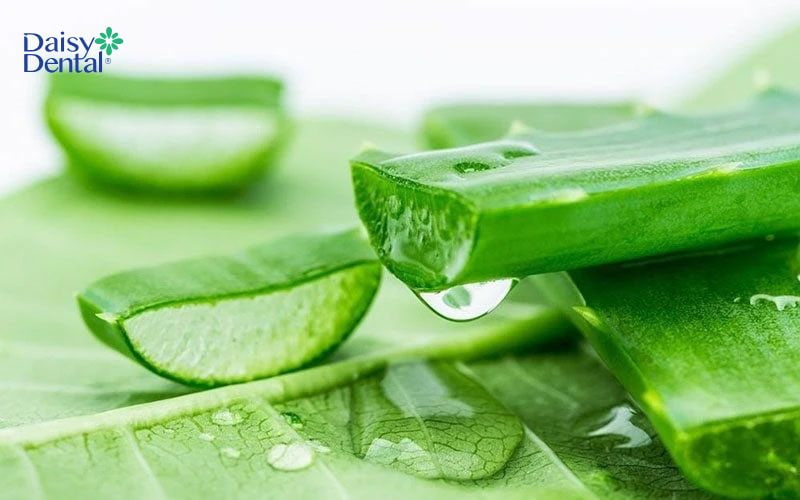 Lô hội hay nha đam chứa nhiều thành phần hỗ trợ kháng viêm và giảm đau nhanh chóng