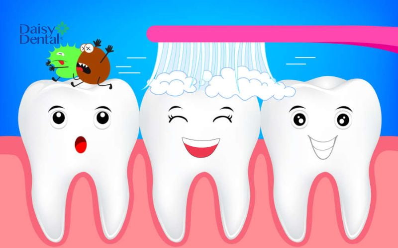 Có rất nhiều loài vi sinh vật tồn tại trong khoang miệng