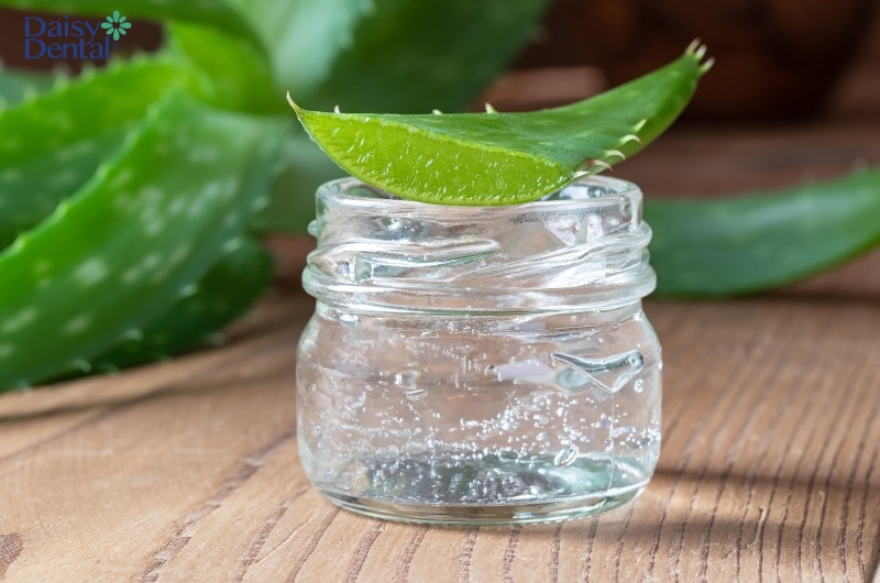 Gel nha đam có thể giúp đẩy nhanh quá trình hồi phục khi bị rộp môi