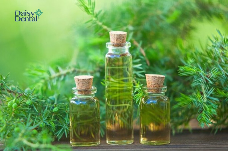 Dầu cây chè có tác dụng chống oxy hóa cao, thân thiện với sức khỏe răng miệng