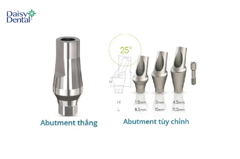 Các loại khớp nối lành thương phân theo hình dạng